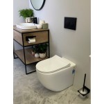 Raul 99 Rimless Floor-mount Toilet Pan Only